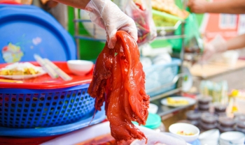 Review món ngon Hà thành: 6 hàng sứa đỏ siêu ngon, siêu hút khách