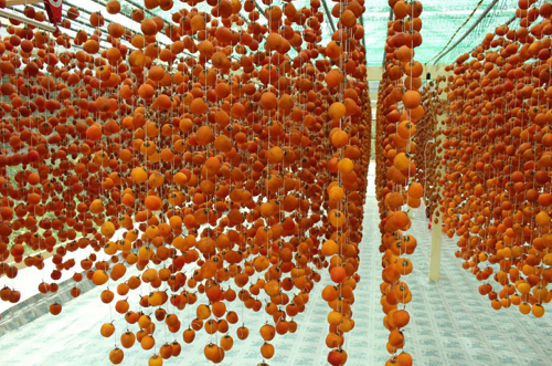 Sản phẩm hồng treo trong nhà tại Đà Lạt (Lâm Đồng)