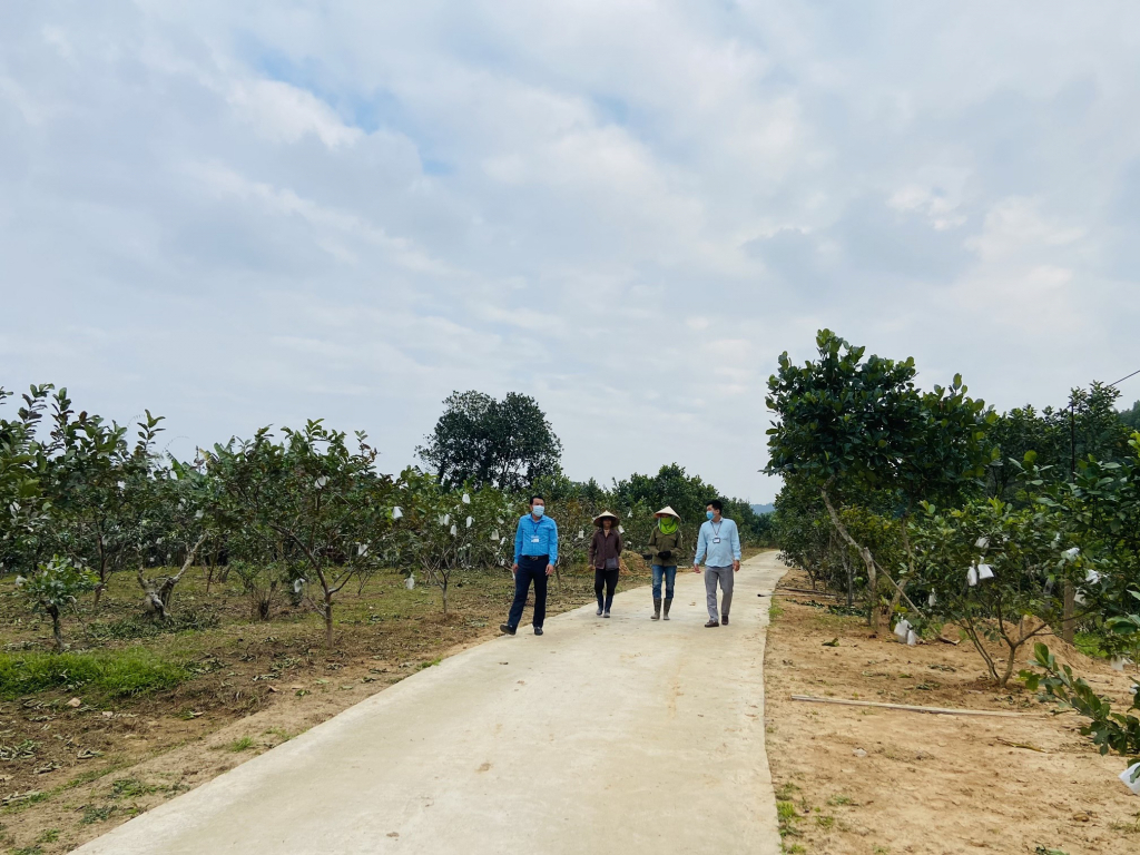 Hạ Long dành nguồn lực thỏa đáng cho khu vực nông thôn - Báo Quảng Ninh  điện tử