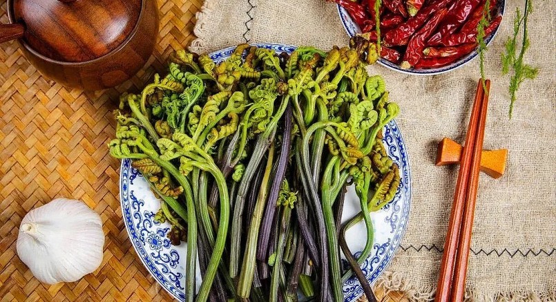 Áp dụng kỹ thuật chế biến phù hợp để loại bỏ độc tố trong dương xỉ.