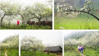 Nghệ An: Đề xuất hỗ trợ 100 triệu đồng/hộ gia đình tự nguyện đến các vùng biên giới đất liền, khu kinh tế - quốc phòng