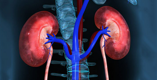 Nhưng kiểu người không nên ăn chuối, cố ăn có thể ảnh hưởng nghiêm trọng tới sức khỏe