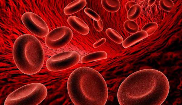 Nhưng kiểu người không nên ăn chuối, cố ăn có thể ảnh hưởng nghiêm trọng tới sức khỏe