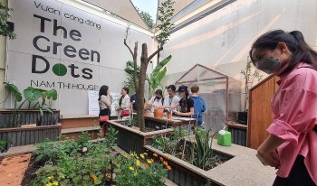 Độc đáo với khu vườn của chung, ai cũng có thể gieo hạt hái rau, quản lý thế nào để tạo sức hút?