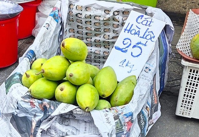 Xoài cát Hòa Lộc bán giá 25.000 đồng/kg tại vườn, hé lộ nguyên nhân bất ngờ Xoài cát Hòa Lộc bán giá 25.000 đồng/kg tại vườn, hé lộ nguyên nhân bất ngờ