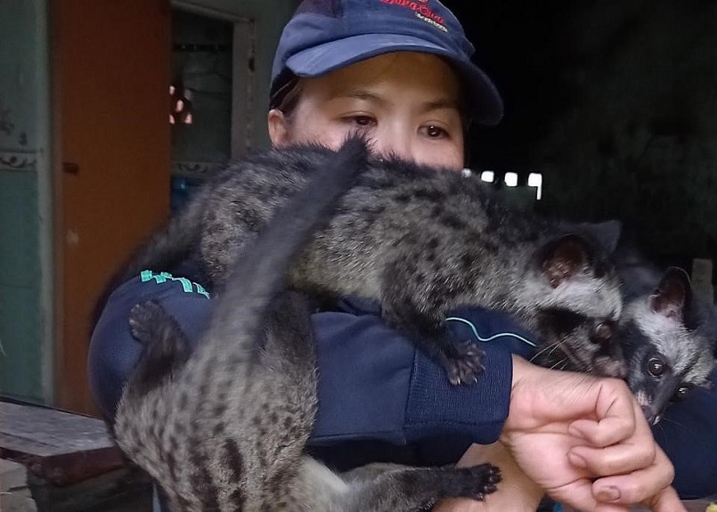 Mô hình nuôi cầy vòi hương đang được phát triển ở xã Hành Thiện và đem lại hiệu quả kinh tế cao. Mô hình nuôi cầy vòi hương đang được phát triển ở xã Hành Thiện và đem lại hiệu quả kinh tế cao.