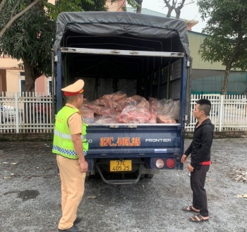Nghệ An: Xử phạt 30 triệu đồng xe tải vận chuyển 600kg gà đông lạnh không rõ nguồn gốc