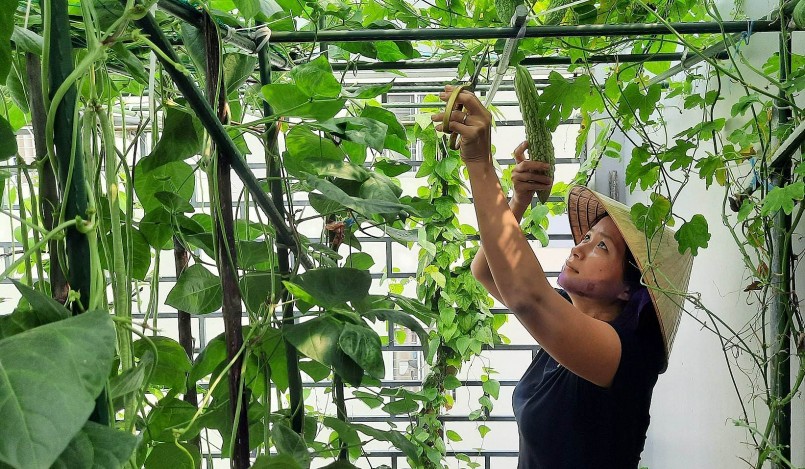 Khu vườn nhỏ là nơi mà cả gia đình chị thư giãn sau cả ngày làm việc, học tập mệt mỏi. Là nơi để chị thỏa sức đam mê trồng cây và các con tìm hiểu thiên nhiên, vui chơi. 