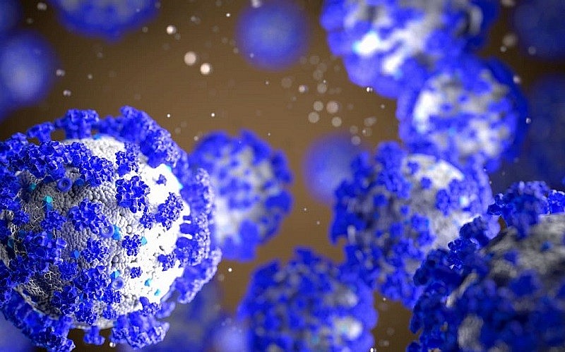 XBB có nhiều cải tiến ở khía cạnh trốn miễn dịch