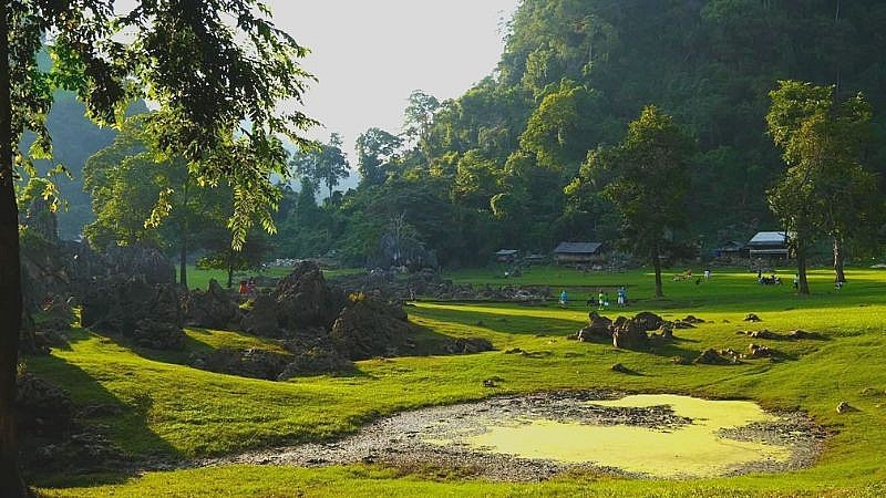 Vùng đất xanh rì