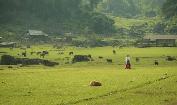 Khám phá ngôi làng không điện, không sóng điện thoại ở Mộc Châu