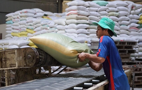 Xuất khẩu gạo quý I/2023 tăng mạnh cả về lượng và kim ngạch