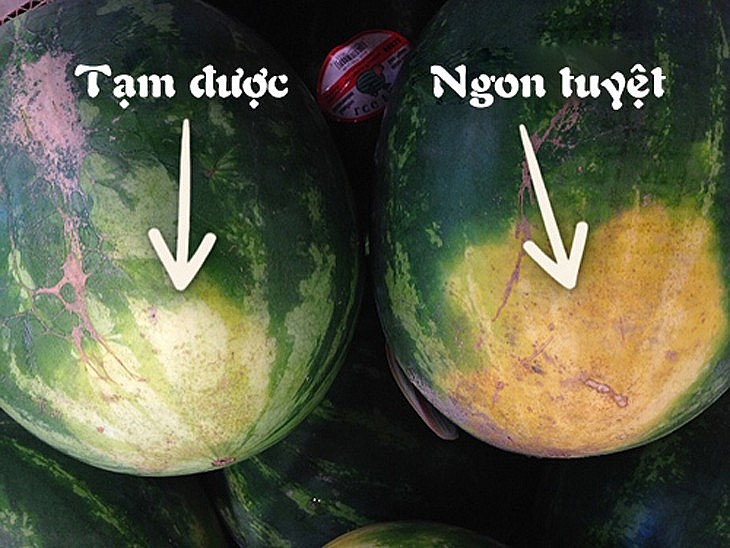 Phần tiếp xúc đất màu vàng