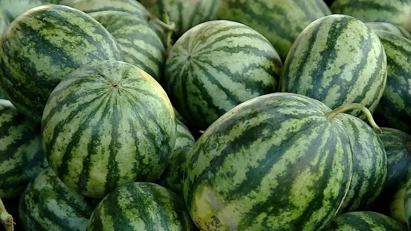 Dưa hấu thường có vị ngọt mát