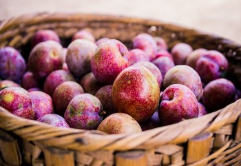 Mận đang vào mùa, mách bạn một số mẹo hay giúp ăn mận không lo nổi mụn