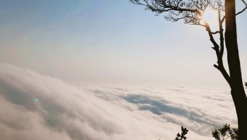 Không cần đi Tà Xùa, ở Hà Nội cũng “săn” được mây đẹp nhức nhối