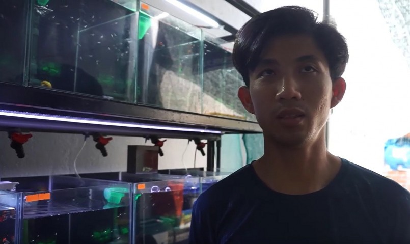 Lê Phước Cường chia sẻ về đam mê nuôi cá cảnh bảy màu.