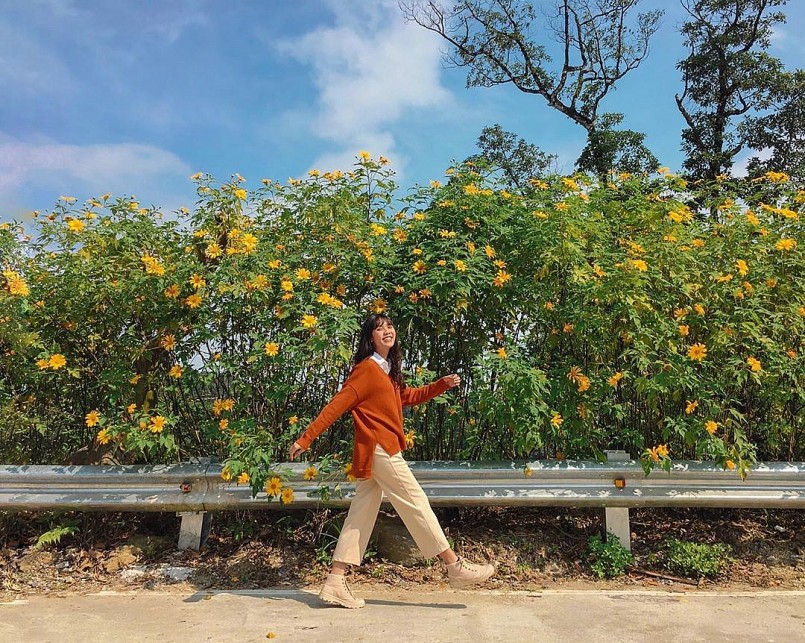 check-in hoa dã quỳ 