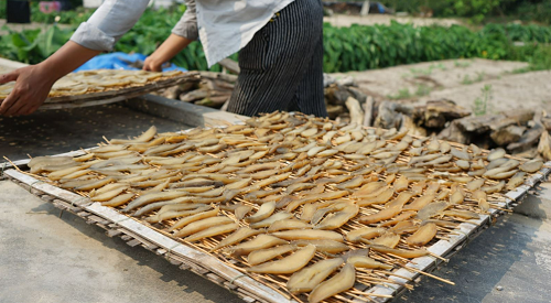 Điểm danh 10 đặc sản Quảng Bình "gây thương nhớ", khách ăn xong còn thòm thèm nhớ mãi