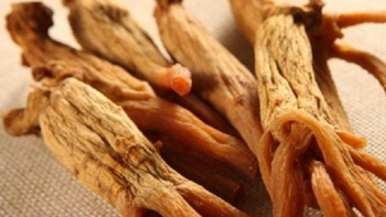 Công dụng tuyệt vời của hồng sâm