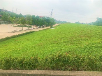 Văn Giang (Hưng Yên): Xã Mễ Sở nỗ lực xây dựng tuyến đê kiểu mẫu