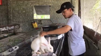Bất ngờ với trang trại "trên thỏ dưới trùn" sạch tinh còn thu lợi nhuận kép