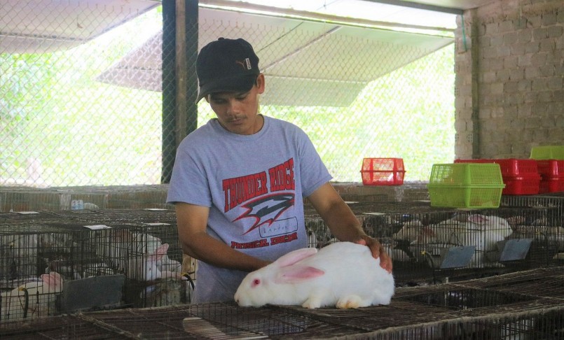 Anh Hồ Ngọc Thắng chăm sóc chuồng trại nuôi thỏ đúng quy trình mang lại kinh tế cao.