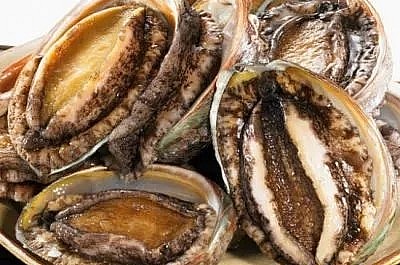 Bào ngư Trung Quốc thường có giá rẻ.