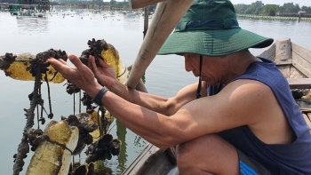 Tuyệt chiêu nuôi con đặc sản cho quý ông, chi phí thấp lợi nhuận cao là có thật