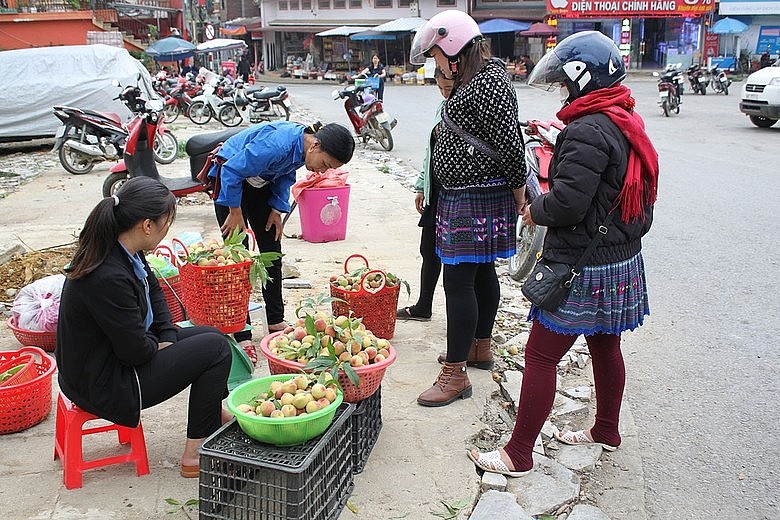 Đào Pháp được mùa được giá