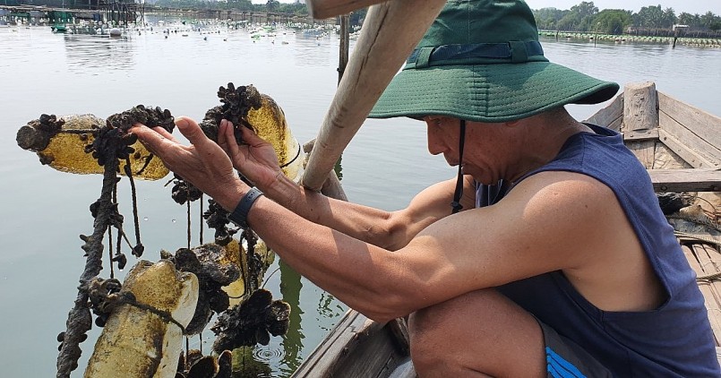 Anh Nguyễn Thành Đen là người tiên phong nuôi hàu trên dây giúp giảm chi phí, tăng lợi nhuận.