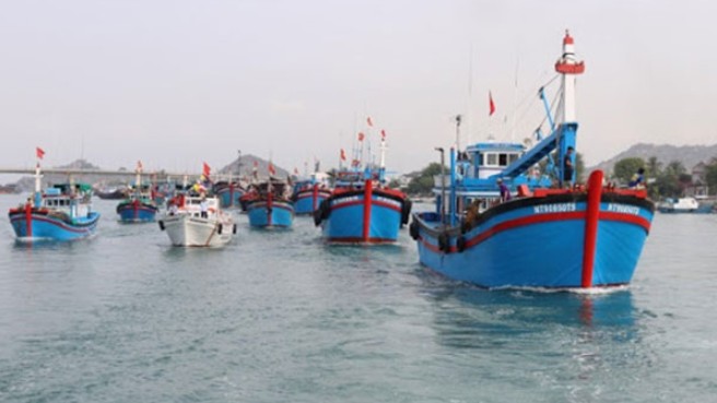 Khai thác bất hợp pháp đang cản trở thế giới tiến đến nghề cá bền vững