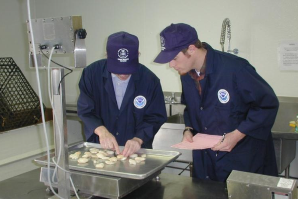 Năm 2018, Mỹ giới thiệu Chương trình giám sát nhập khẩu thủy sản (SIMP) Năm 2018, Mỹ giới thiệu Chương trình giám sát nhập khẩu thủy sản (SIMP)