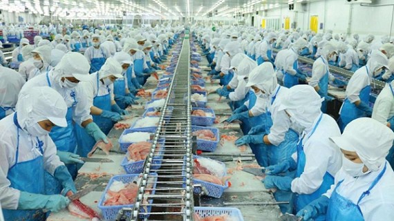 Kỳ vọng xuất khẩu thủy sản sáng dần lên trong quý II