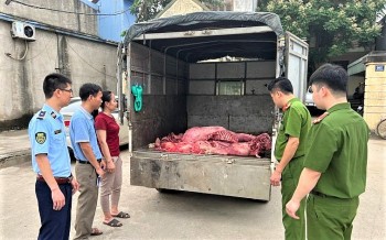Hưng Yên: Ngăn chặn kịp thời 230kg thịt lợn "bẩn" đang trên đường tiêu thụ