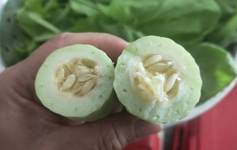 Nhiều người nhận xét giống dưa này ăn giòn nhưng nhạt vị, hạt có vị hơi chua.