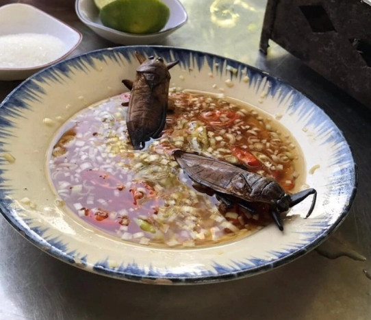 Loại côn trùng nhìn phát sợ, cho vào nước mắm thành đặc sản “hảo hạng”, có giá 500.000 đồng/1 lít vẫn hút người mua