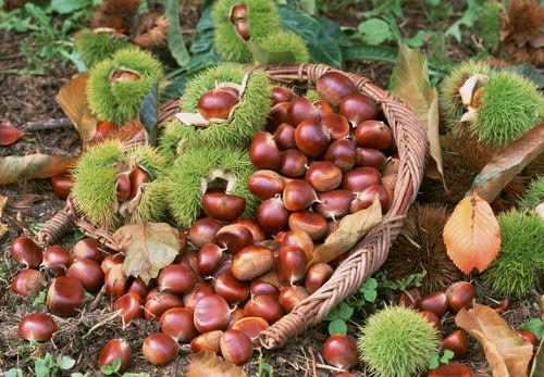 Nếm thử 10 đặc sản Cao Bằng ngon "xỉu", một lần nếm thử là chỉ muốn ăn thêm