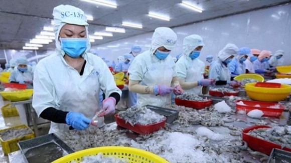 Xuất khẩu thuỷ sản nhiều nhất sang thị trường Nhật Bản