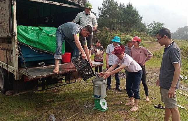 Trung tâm Khuyến nông Lạng Sơn hỗ trợ cá nheo Mỹ giống cho nhân dân. Trung tâm Khuyến nông Lạng Sơn hỗ trợ cá nheo Mỹ giống cho nhân dân.