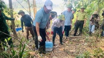 Hà Tĩnh: Vườn Quốc gia Vũ Quang tiếp nhận và thả 150 cá thể động vật về tự nhiên