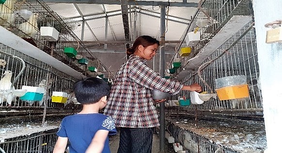 Ban đầu chỉ nuôi thử và gặp nhiều khó khăn