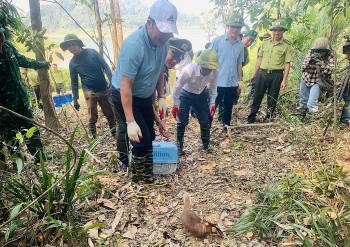 Hà Tĩnh: Vườn Quốc gia Vũ Quang tiếp nhận và thả 150 cá thể động vật về tự nhiên