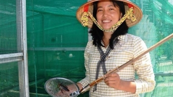 Nuôi vạn con đặc sản sắp tuyệt chủng, nữ nông dân vùng biên có tuyệt chiêu lãi nửa tỷ mỗi năm