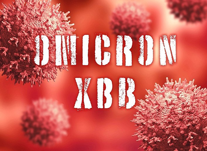 biến thể phụ XBB