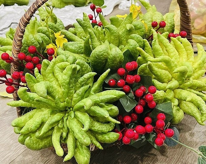 Phật thủ Bồ Tát Hoàng Kim được trồng ở Việt Nam nhưng được phân phối độc quyền