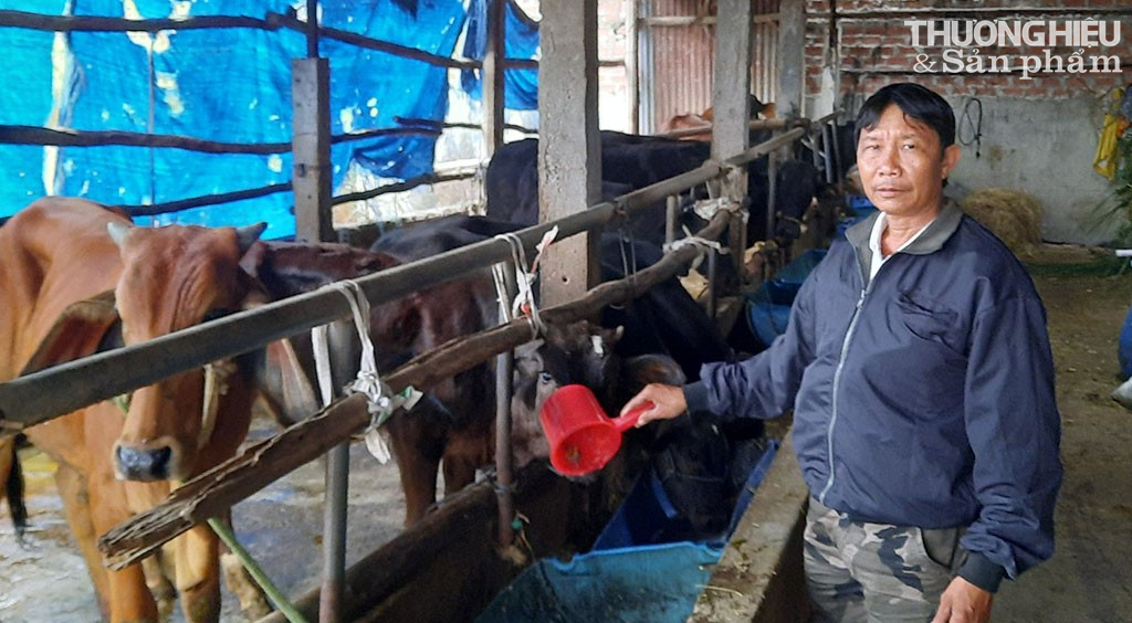 Lão nông miền đất võ thu nhập hơn nửa tỷ đồng mỗi năm nhờ thay đổi tư duy mô hình chăn nuôi