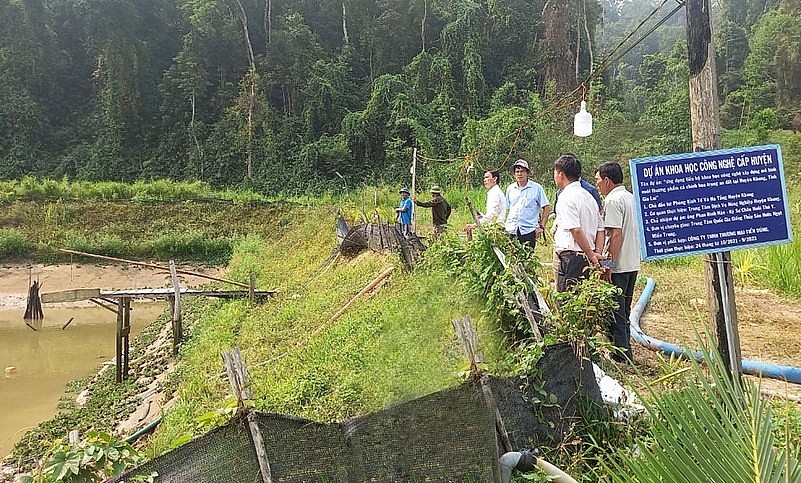 Dự án nuôi cá chình hoa trong ao đất của huyện Kbang có vốn đầu tư khoảng 2,3 tỷ đồng.