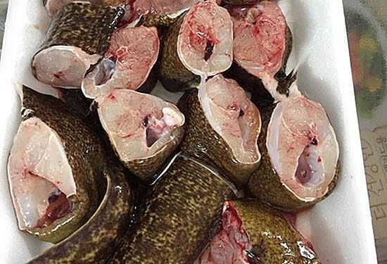 Cá chình hoa là dòng cá đặc sản cao cấp. Thịt cá chình hoa không béo mỡ, mà thịt dai chắc và thơm.