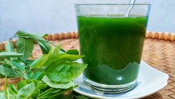 Công dụng của nước ép rau ngót với sức khoẻ
